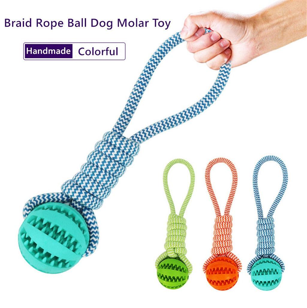 Pet Dental Twist Chew Toy