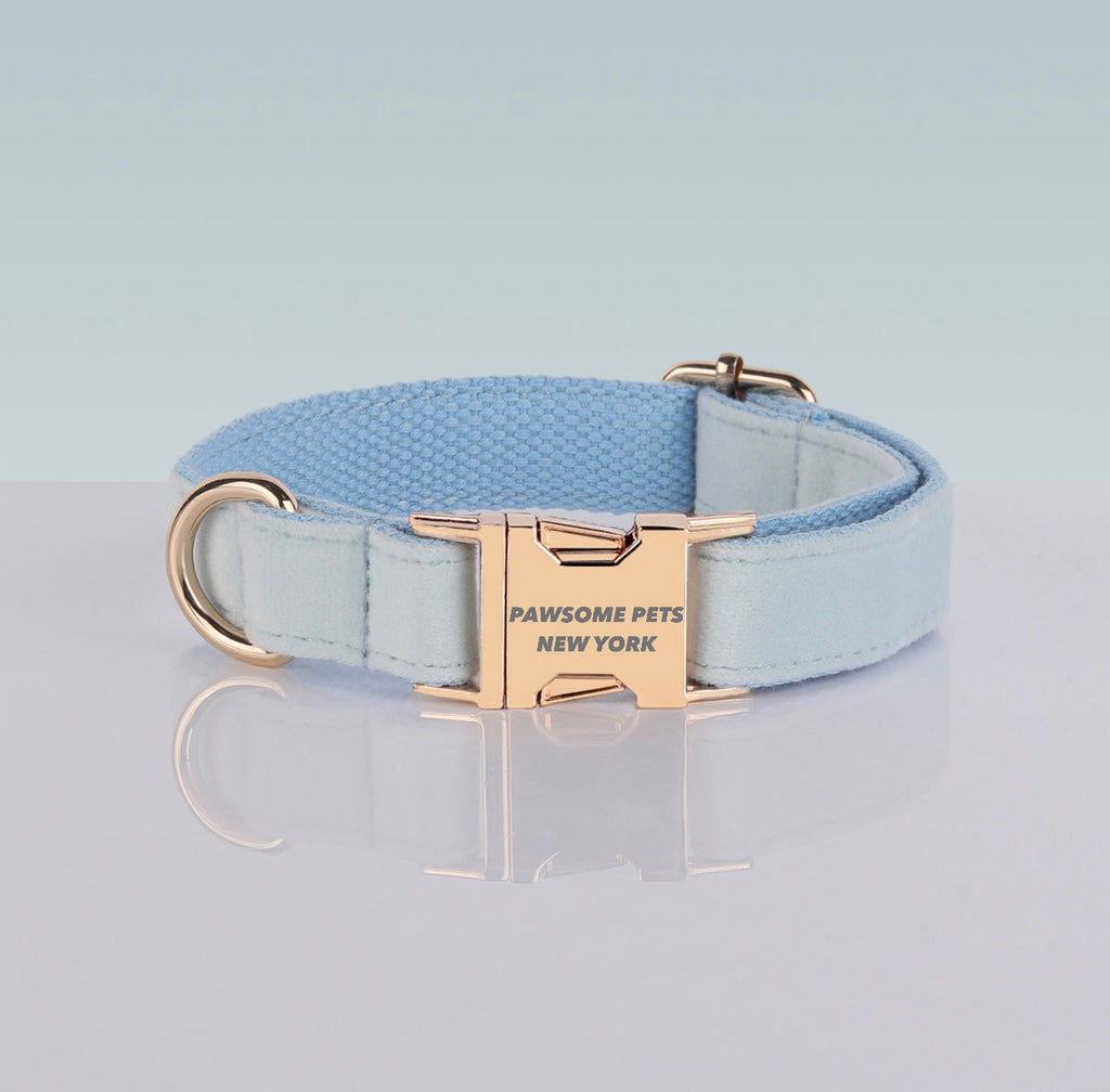 PAWSOME DOG COLLAR - #20