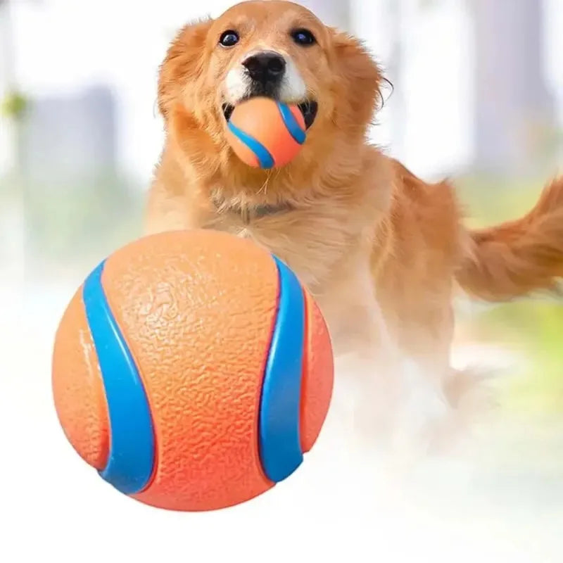 Pet Toy Ball Dog Fetch Ball Spherical Elastic Unbreakable Teeth Grinding Jumping Ball Interactive Pet Products and Accessories