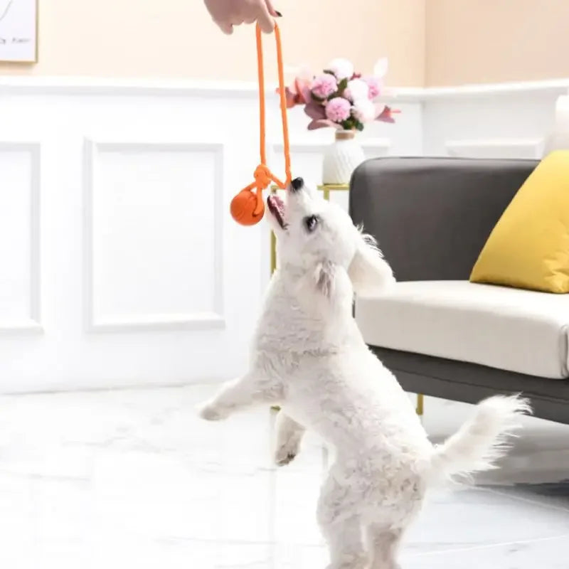 Dog Training Ball on Rope Cotton Rope Ball Toy Nontoxic Durable Interactive Dog Toy for Big Small Dogs Catching Throwing Tugging
