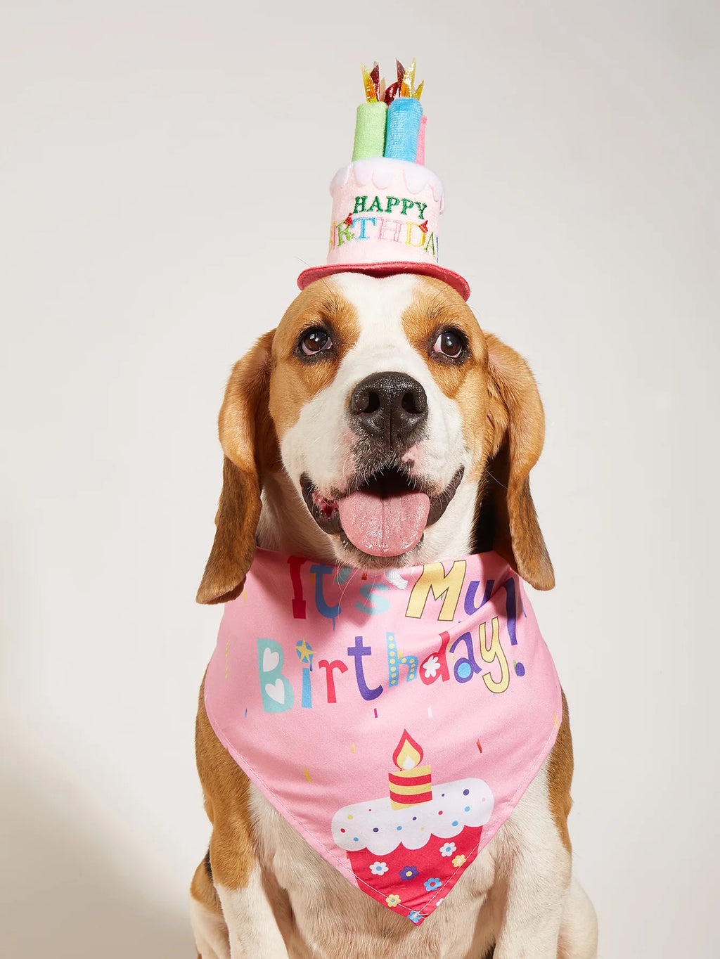 Dog Happy Birthday Decoration Dog Costume Hats Bowknot Bandana Neckerchief