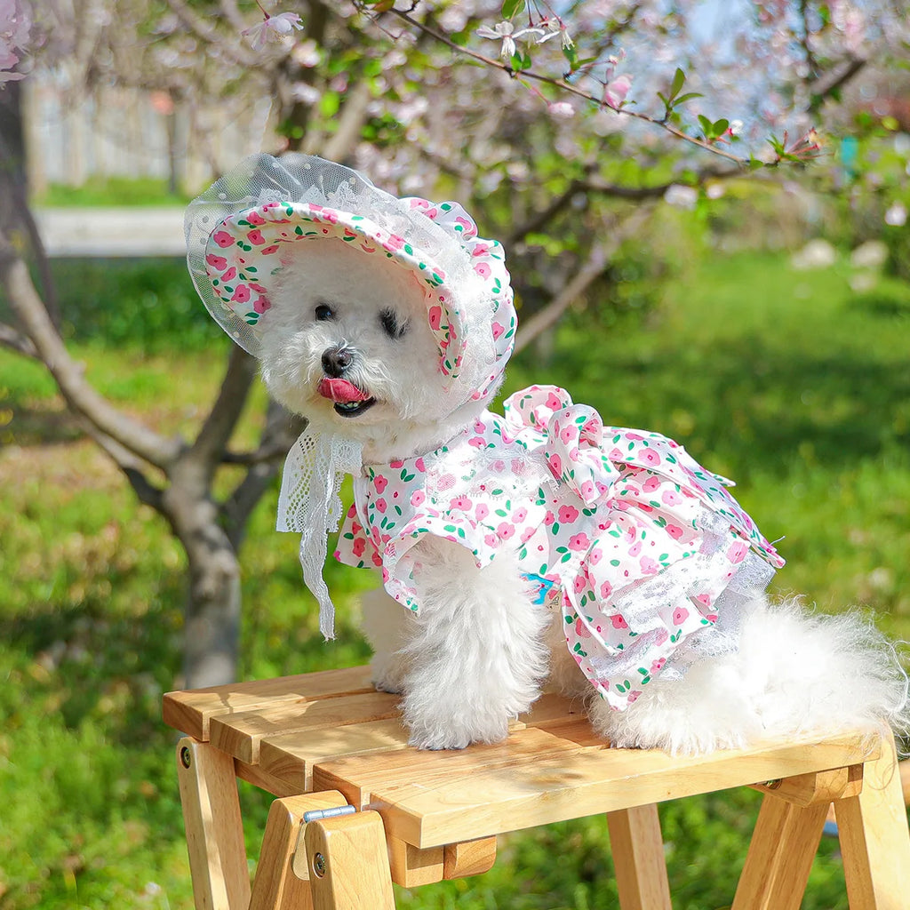 Pet clothes, floral dress, princess dress for dogs