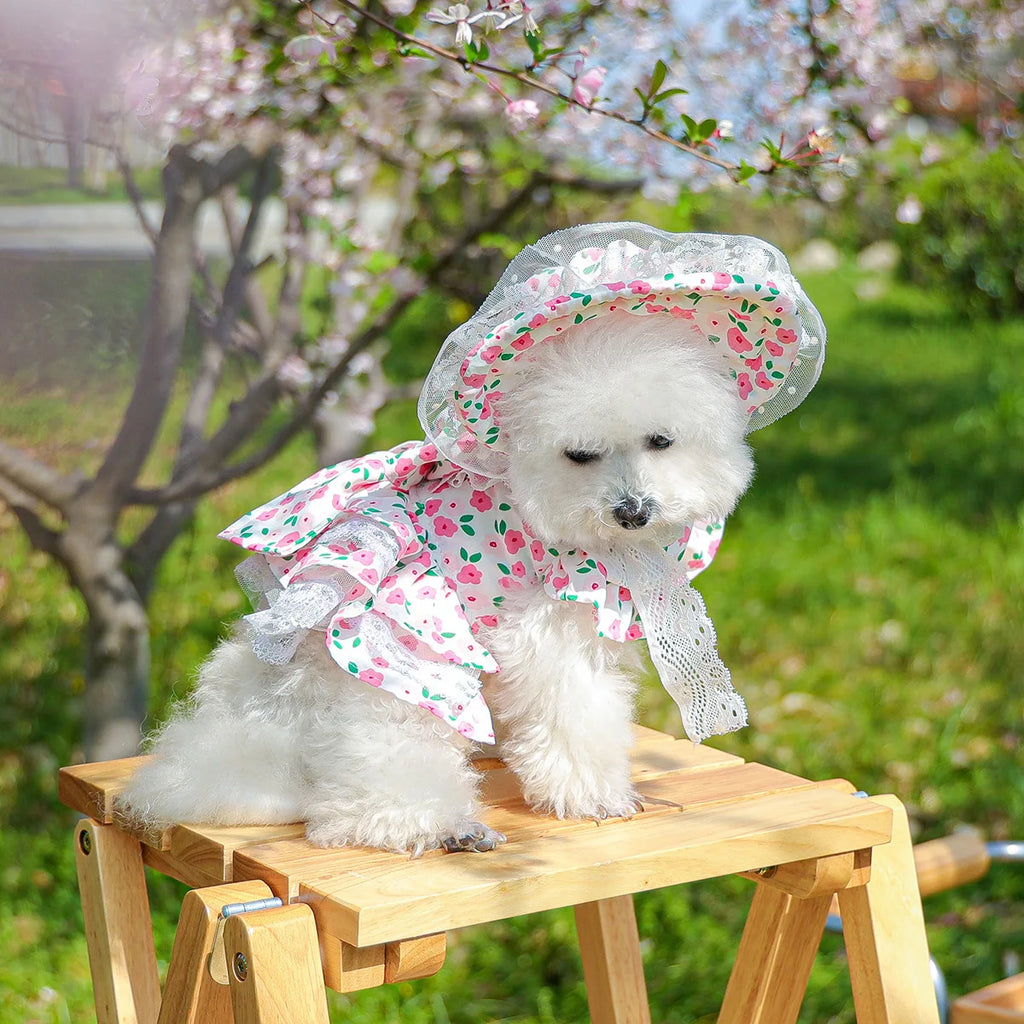 Pet clothes, floral dress, princess dress for dogs