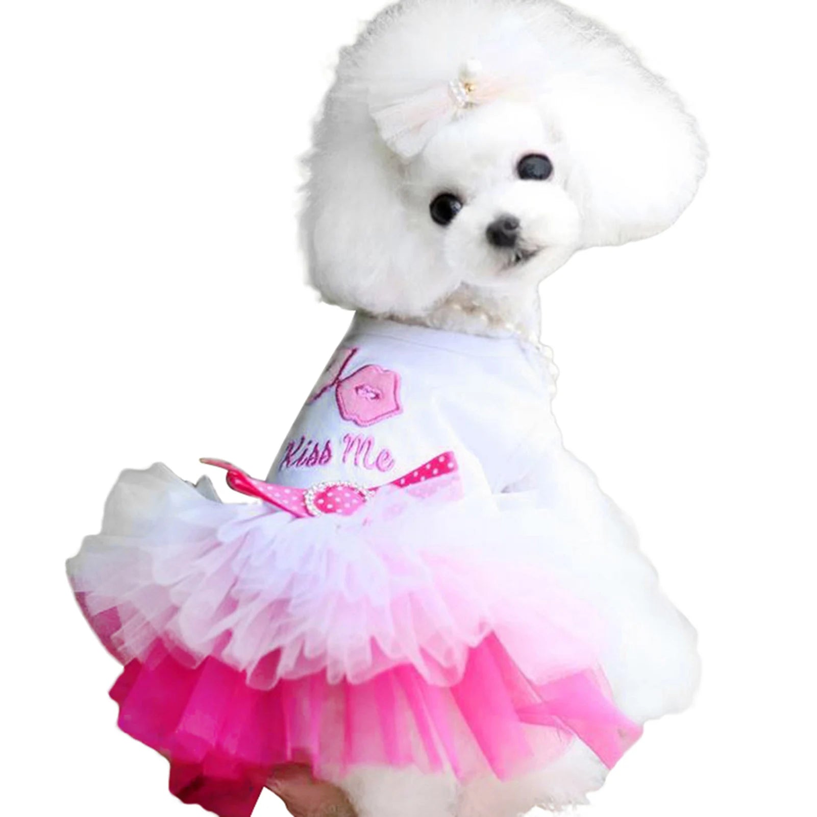 Cute Dog Dresses