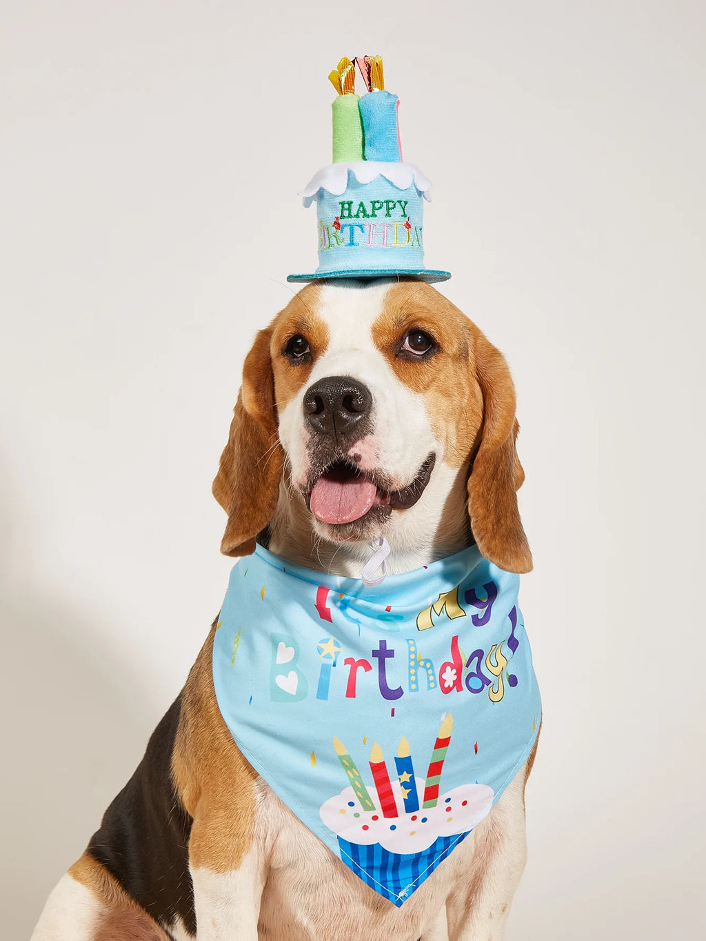 Dog Happy Birthday Decoration Dog Costume Hats Bowknot Bandana Neckerchief