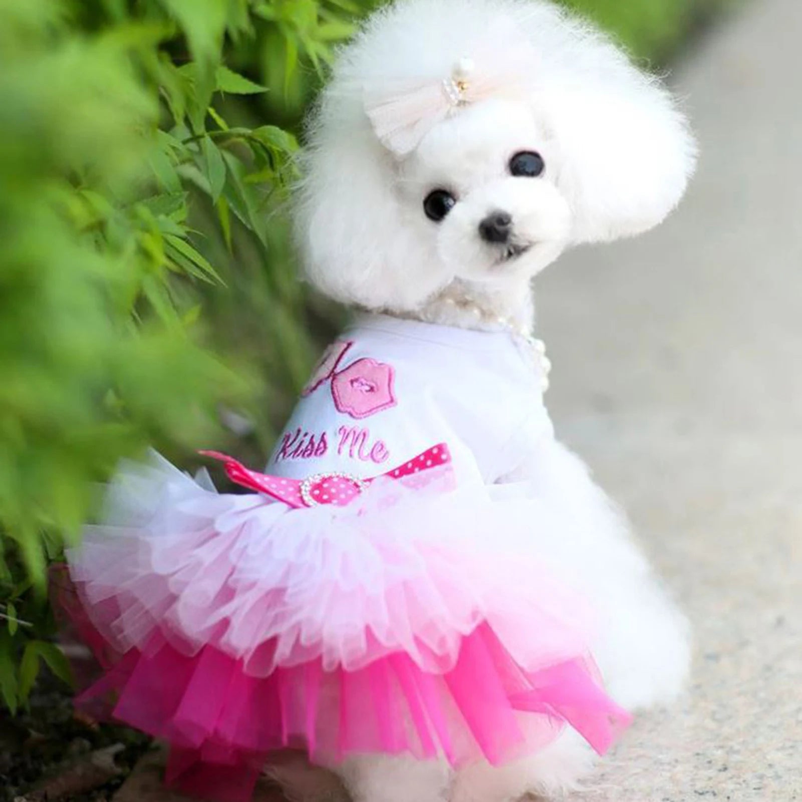 Cute Dog Dresses