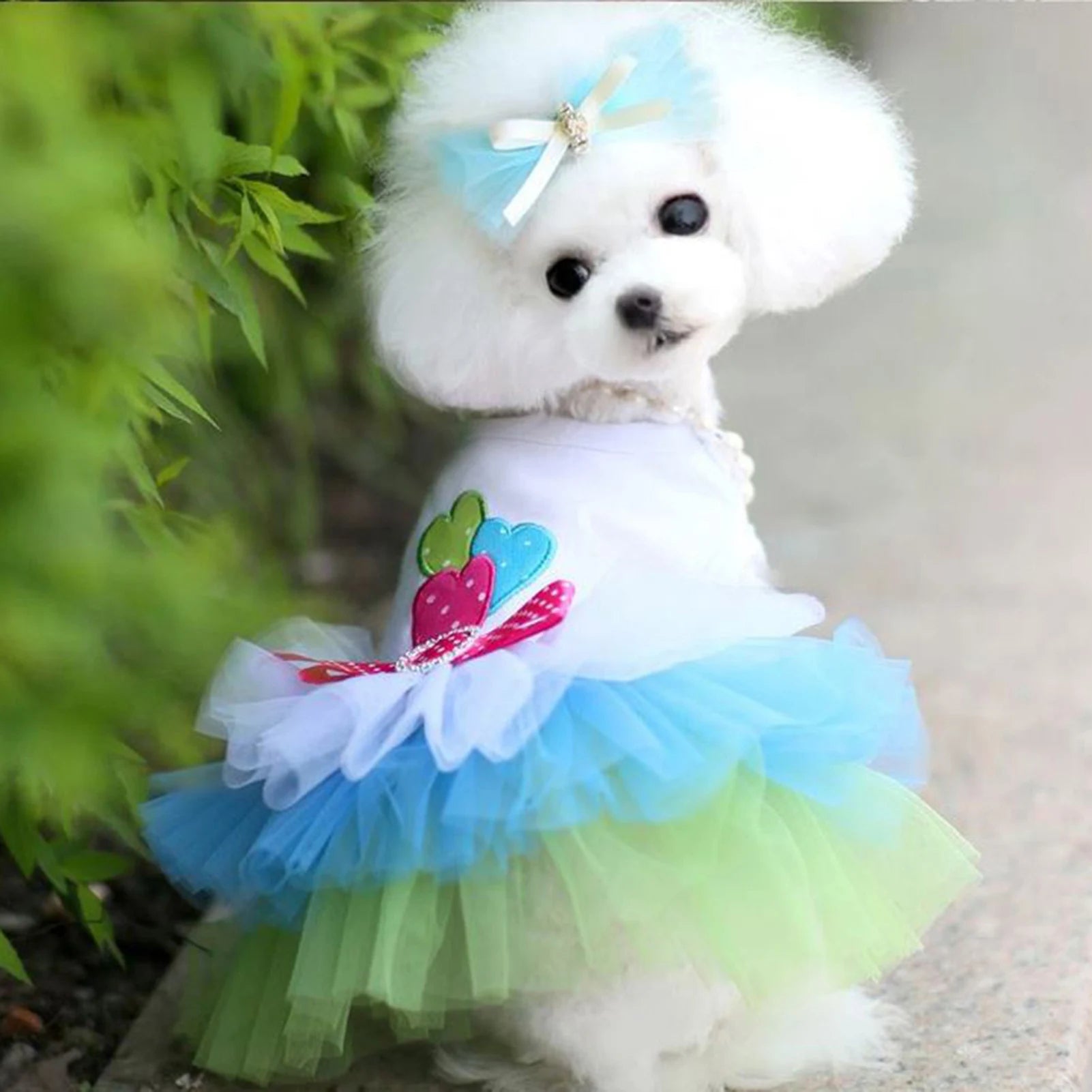 Cute Dog Dresses